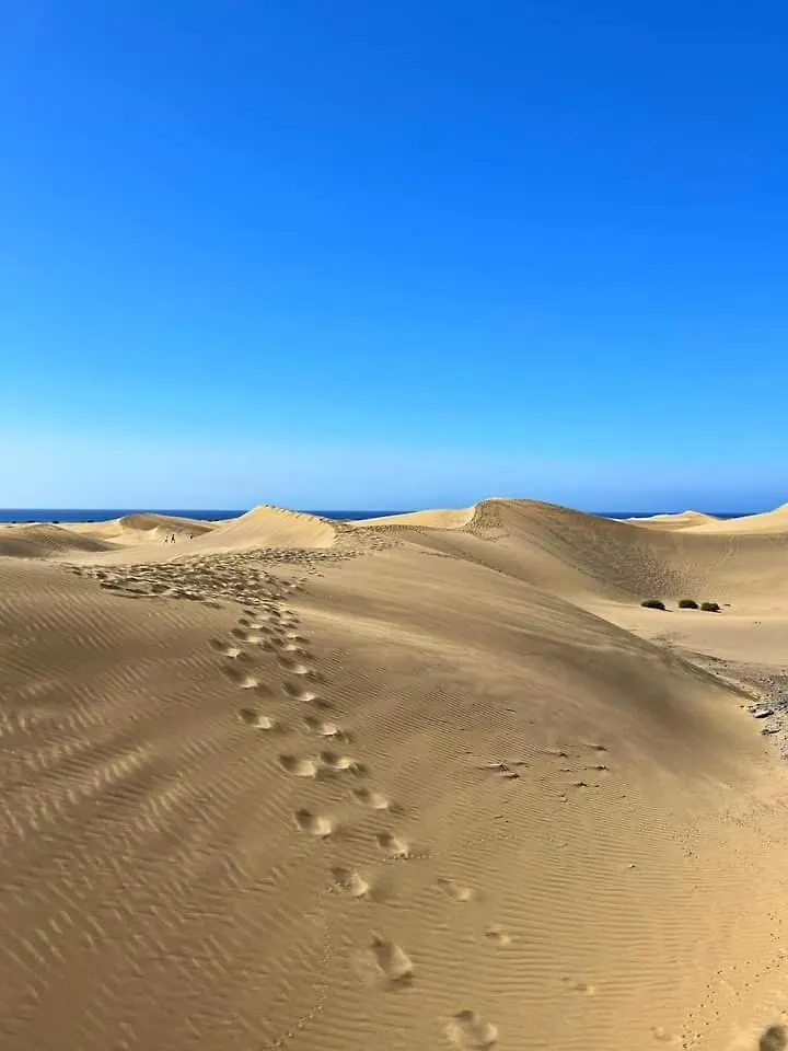 Apartment Holidays Koka Beach San Bartolome de Tirajana  Spain